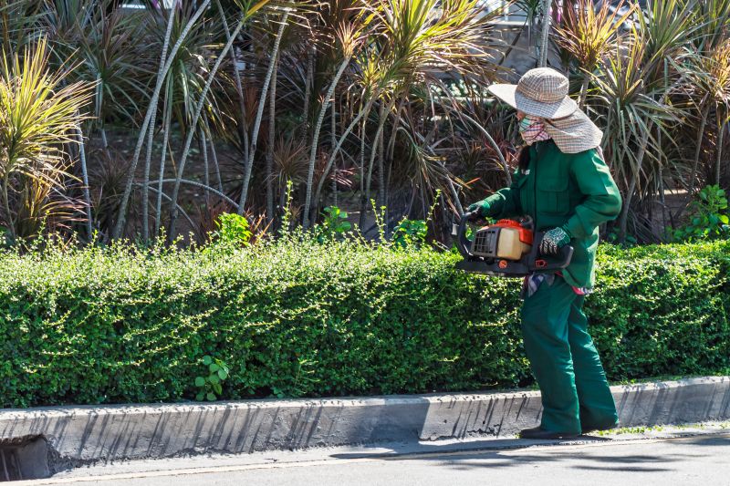 Tree Trimming in a Residential Landscape