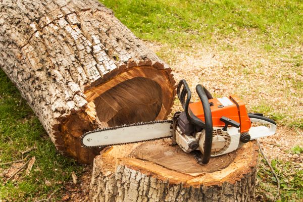 Tree Cutting Service in Crestview