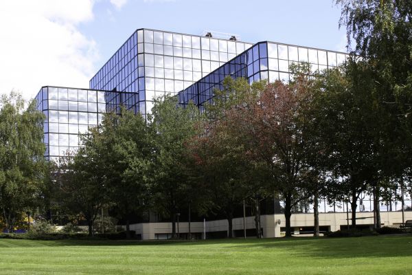 Commercial Tree Trimming in Crestview
